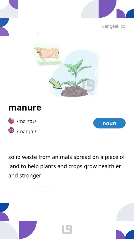 Definition & Meaning of 