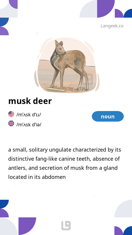 definition-meaning-of-musk-deer-picture-dictionary