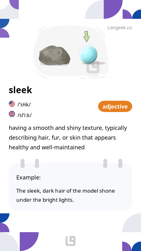 Definition & Meaning of "Sleek" | Picture Dictionary
