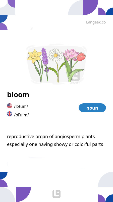 Definition & Meaning of 