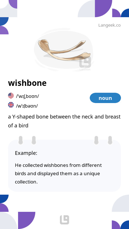 definition-meaning-of-wishbone-picture-dictionary