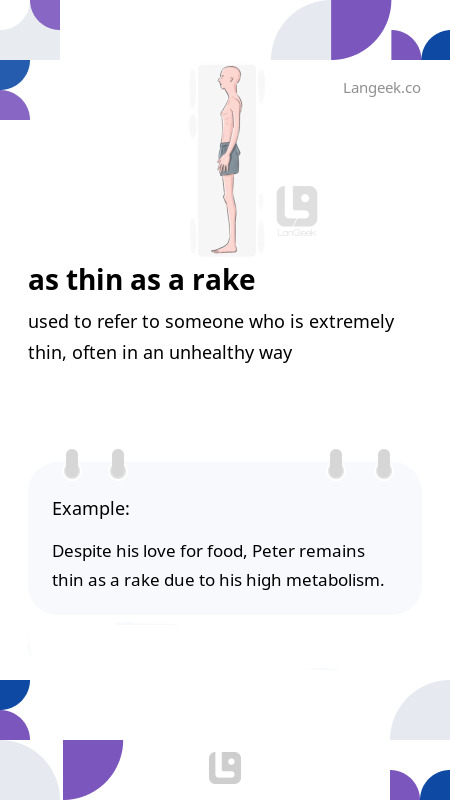 Definition Meaning of Thin as a rake Picture Dictionary