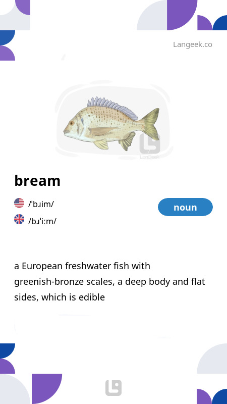Definition & Meaning of 