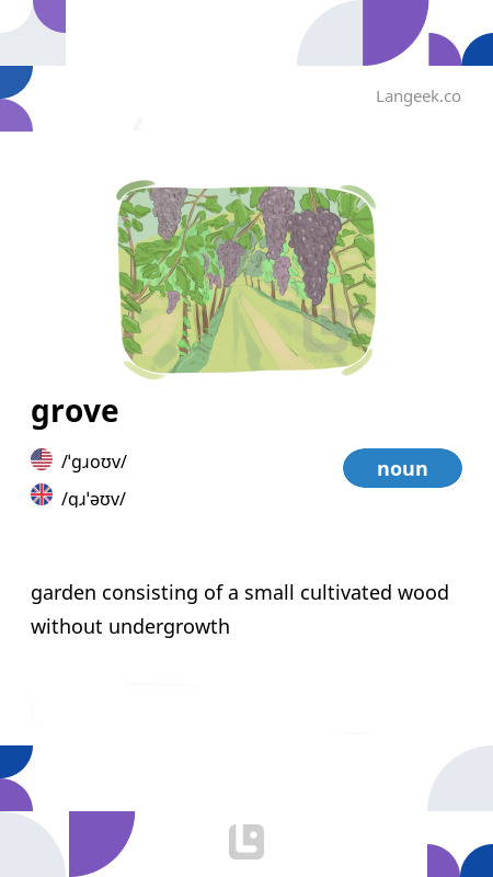 Definition & Meaning of "Grove" | Picture Dictionary